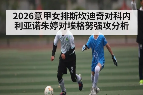 2026意甲女排斯坎迪奇对科内利亚诺朱婷对埃格努强攻分析