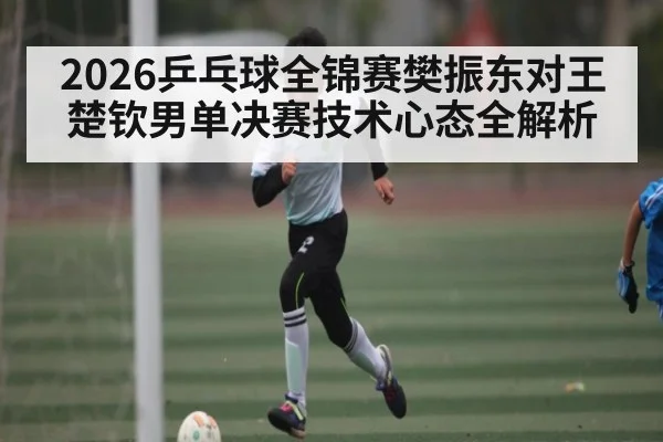 2026乒乓球全锦赛樊振东对王楚钦男单决赛技术心态全解析